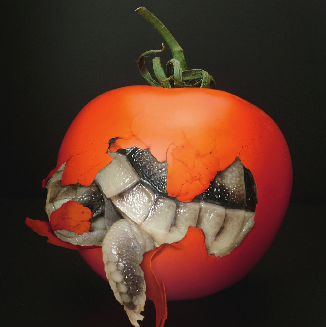 Photoshop Design by Partyshot for DesignCrowd (Community Contests) | Design #9077776