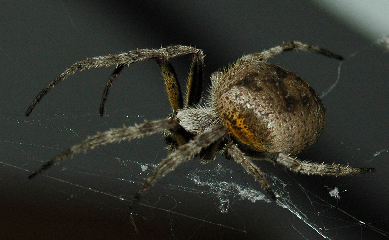 Photography by darwin for DesignCrowd (Community Contests) | Design #9069204