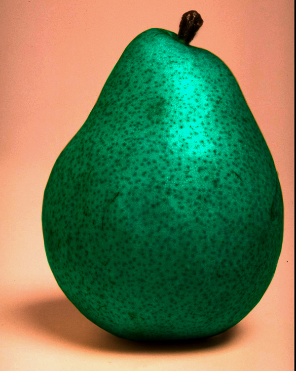 Photoshop Design by ayeshid for DesignCrowd (Community Contests) | Design #9069107