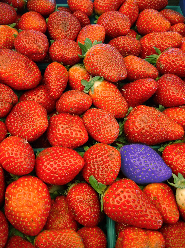 Diseño de Photoshop por Southman para DesignCrowd (Community Contests) | Diseño #9069216