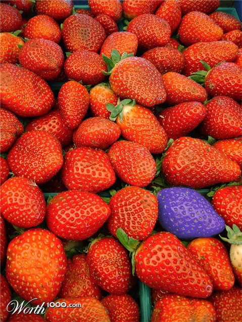 Photoshop Design by Southman