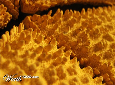 Photography by theduffman