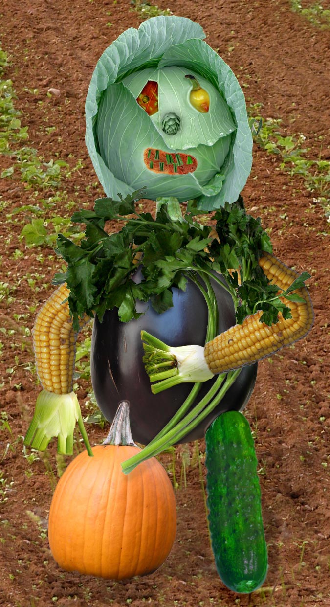 Design Photoshop par thispe pour DesignCrowd (Community Contests) | Design #9077920