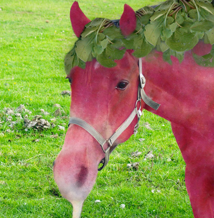 Design Photoshop par mayfae pour DesignCrowd (Community Contests) | Design #9077869