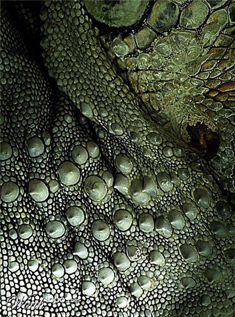 Photography by josephzl