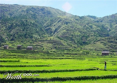 Photography by ginscambia