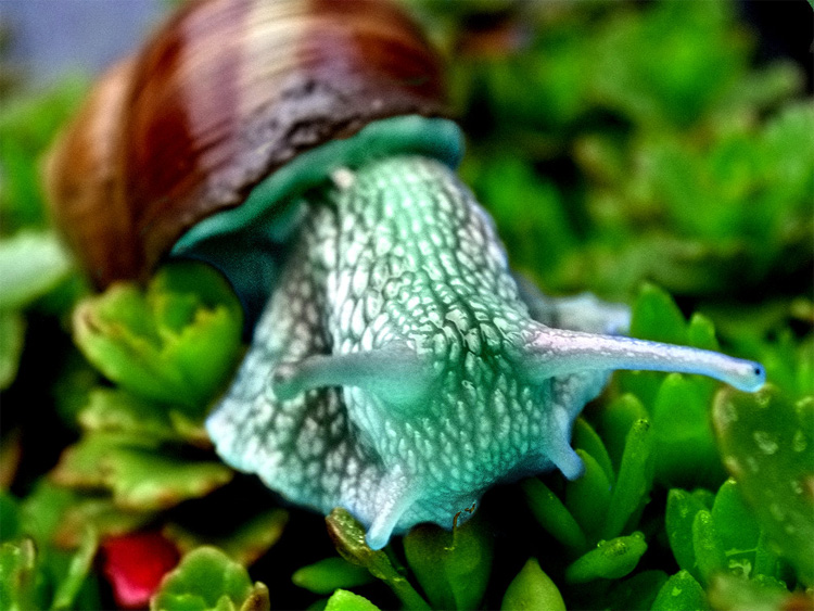 Photoshop Design by Ziaphra for DesignCrowd (Community Contests) | Design #9069110