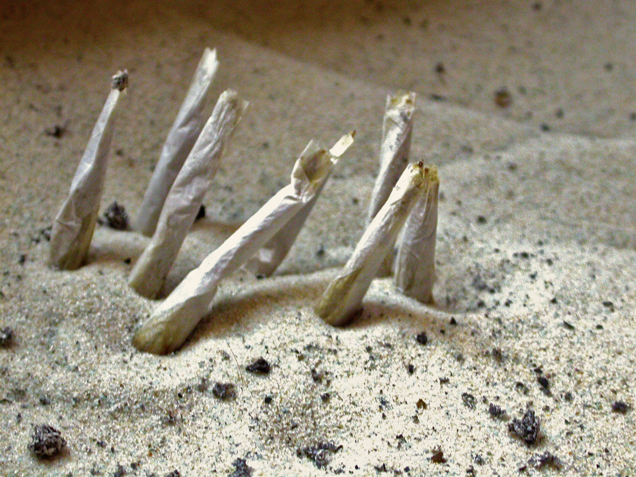 Photography by h0pseke for DesignCrowd (Community Contests) | Design #9073372