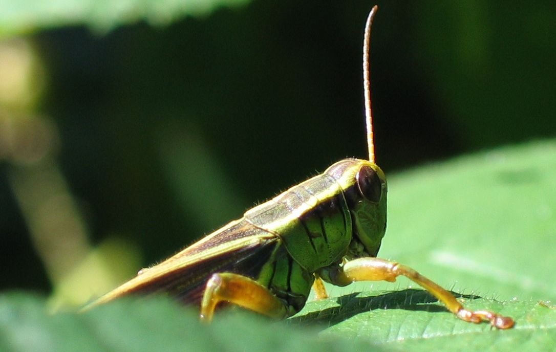 Photography by smekla for DesignCrowd (Community Contests) | Design #9069196