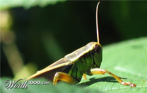 Photography by smekla