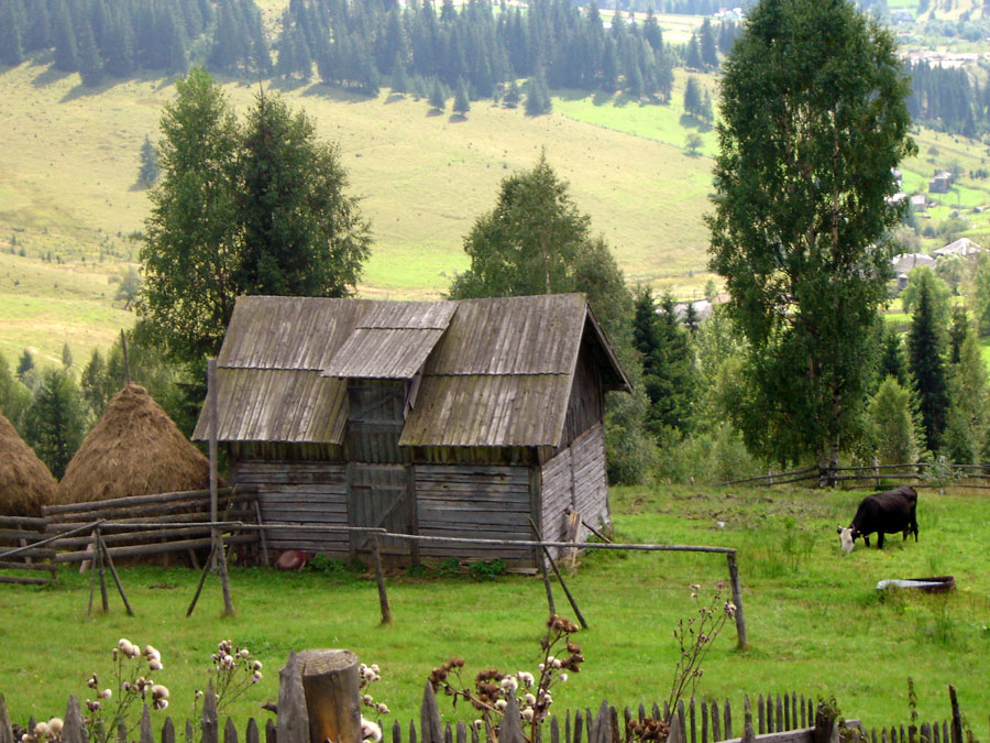 Photography by Grandma for DesignCrowd (Community Contests) | Design #9069327