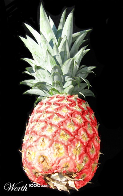 Photoshop Design by jayjay007