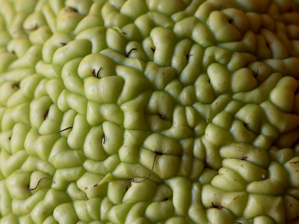 Photography by binkyat3 for DesignCrowd (Community Contests) | Design #9073297