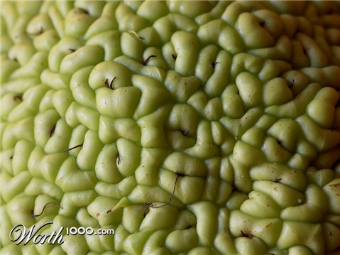 Photography by binkyat3