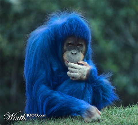 Photoshop Design by paulmetadger