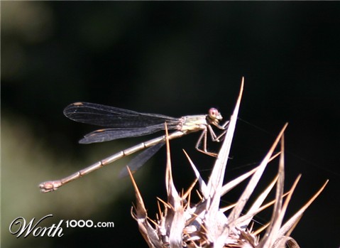 Photography by sandreu