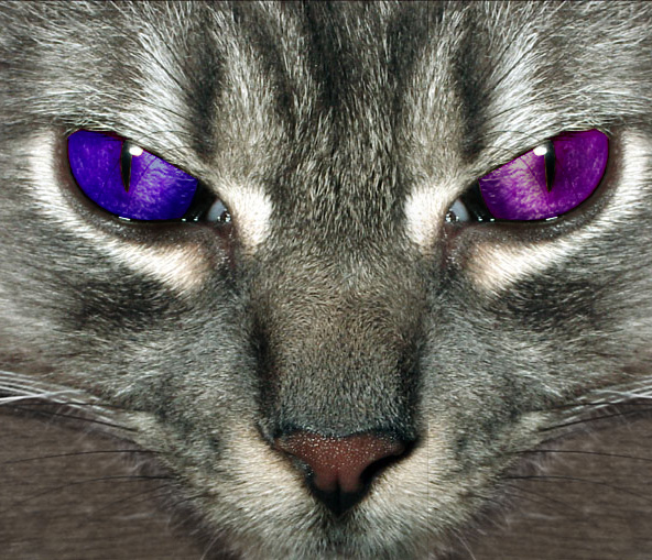 Photoshop Design by ariel9 for DesignCrowd (Community Contests) | Design #9069207