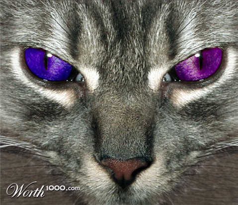 Photoshop Design by ariel9