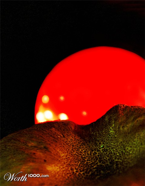 Photography by koalachimbo