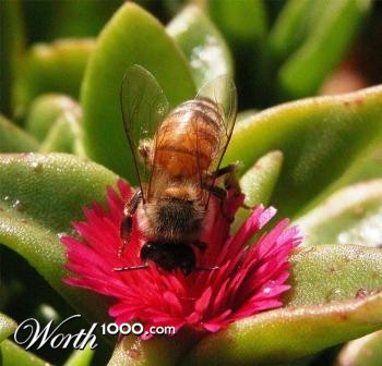 Photography by jester11221122