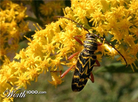 Photography by rdchdwck