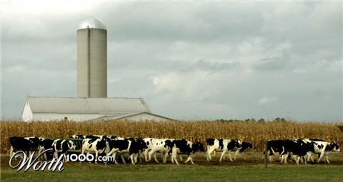 Photography by rdchdwck