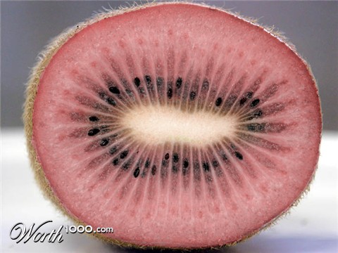 Photoshop Design by bcgirl007