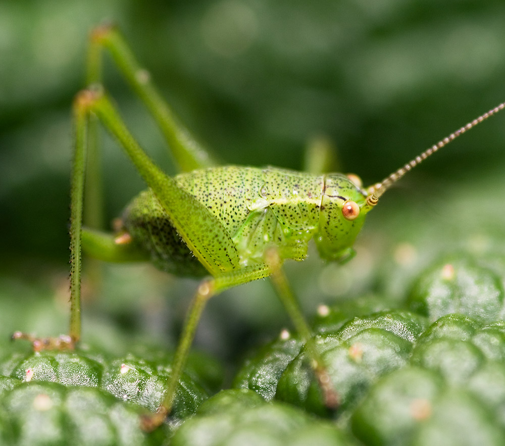 Photography by Alex999 for DesignCrowd (Community Contests) | Design #9069188