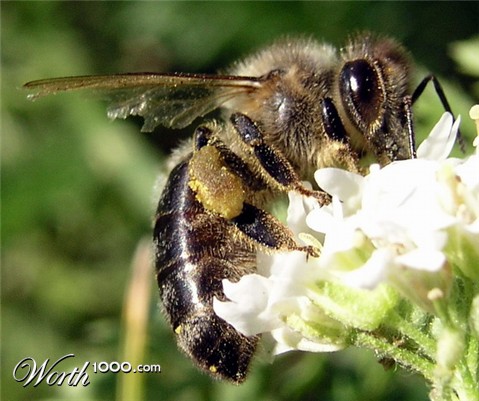 Photography by mzmzmzmz