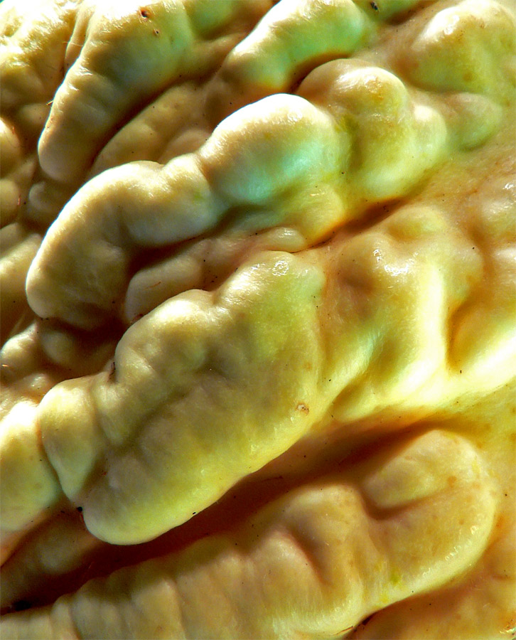 Photographie par jandreu pour DesignCrowd (Community Contests) | Design #9073353