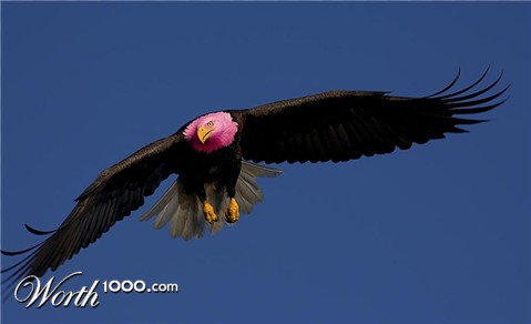 Photoshop Design by redsharkbait