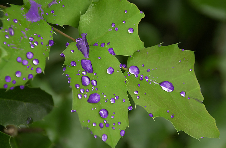 Design Photoshop par paparouna pour DesignCrowd (Community Contests) | Design #9069346