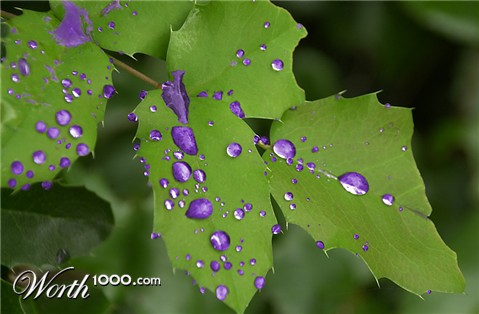 Photoshop Design by paparouna