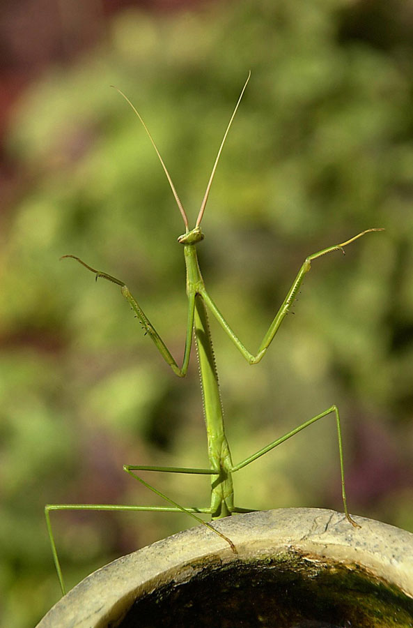 Photography by paparouna for DesignCrowd (Community Contests) | Design #9069192