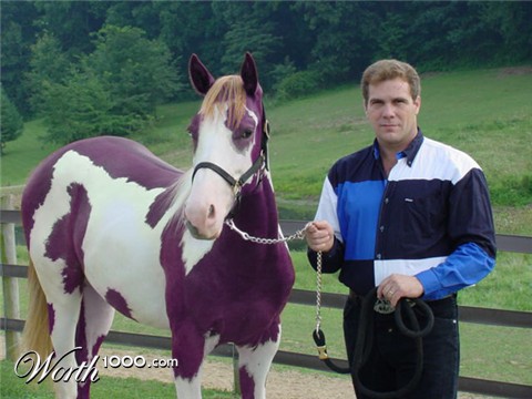 Photoshop Design by lilhorseebabee