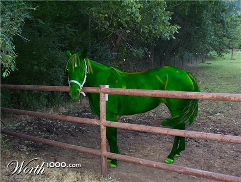 Photoshop Design by mirrorwalk