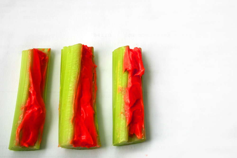 Photoshop Design by GrandpaPorridge for DesignCrowd (Community Contests) | Design #9069341