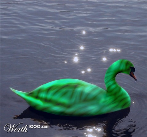 Photoshop Design by damina