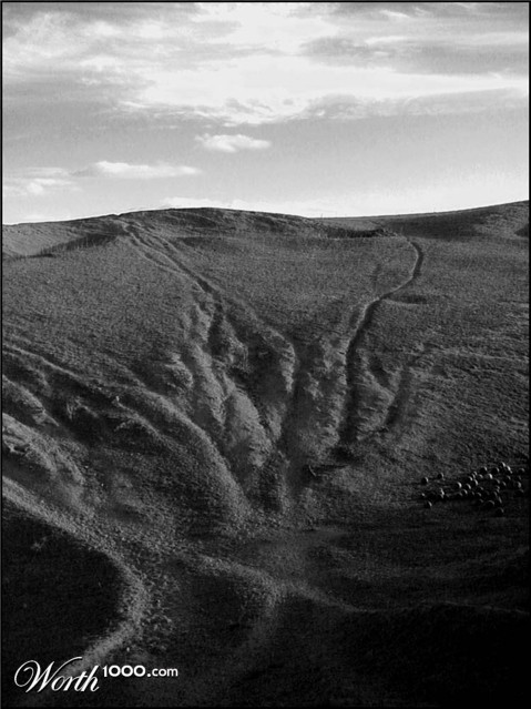 Photography by Budmulla