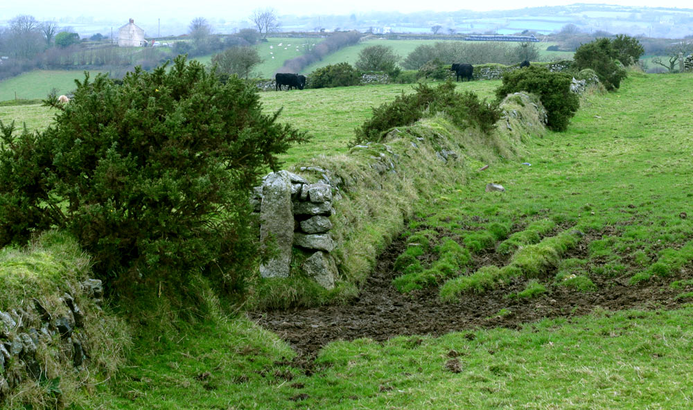 Photography by Dragon60 for DesignCrowd (Community Contests) | Design #9069293