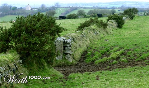 Photography by Dragon60