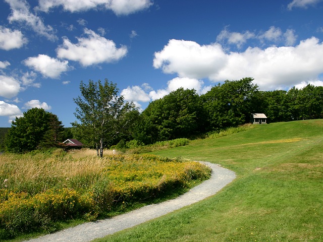 Photographie par KarenC pour DesignCrowd (Community Contests) | Design #9069302