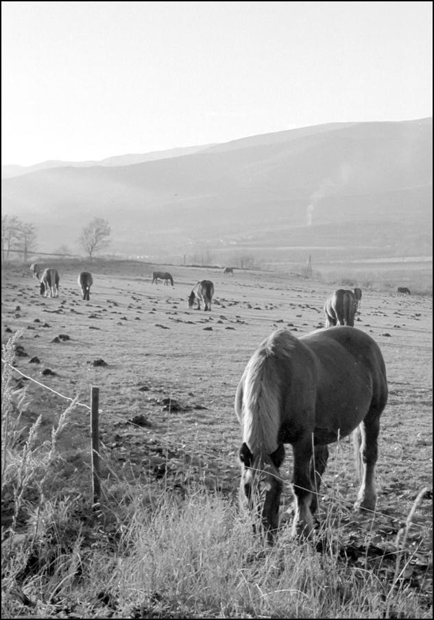 Photographie par jandreu pour DesignCrowd (Community Contests) | Design #9069325