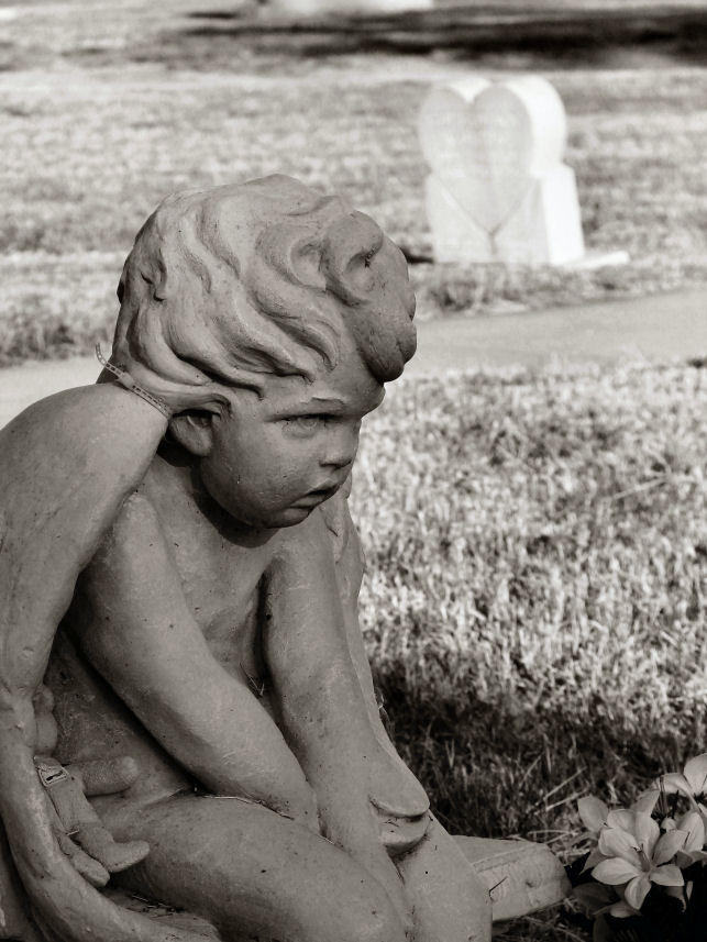 Photography by Suziecuchon for DesignCrowd (Community Contests) | Design #9070218