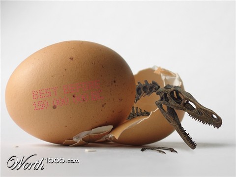 Photoshop Design by SoupDragon