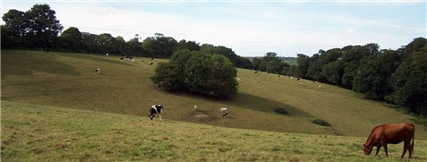 Photography by TotalDomination