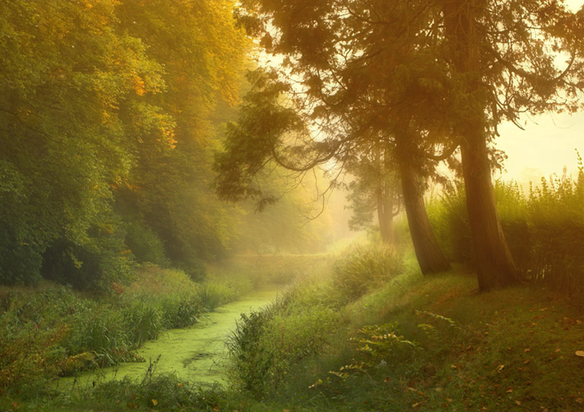 Photography by branie for DesignCrowd (Community Contests) | Design #9069351