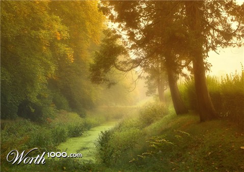 Photography by branie