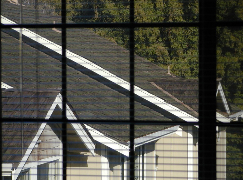 Photography by Tinman1000 for DesignCrowd (Community Contests) | Design #9070269