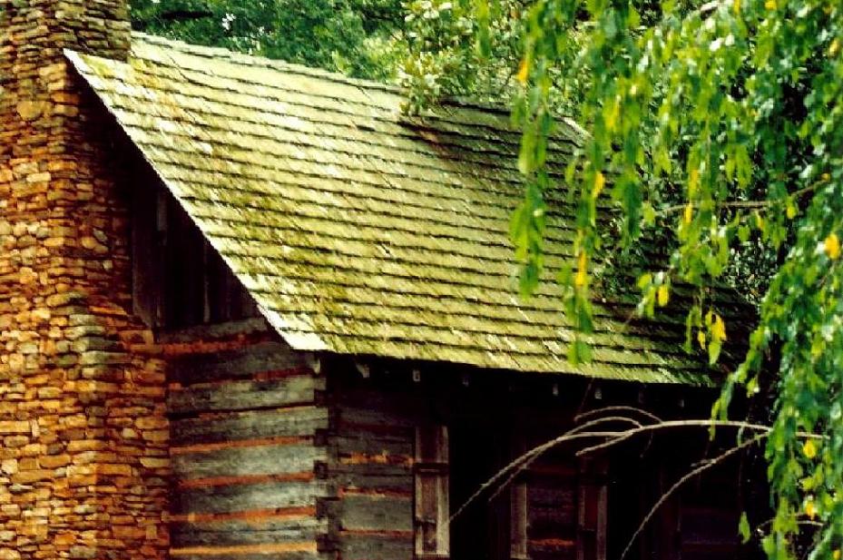 Photography by Isabella2006 for DesignCrowd (Community Contests) | Design #9070293